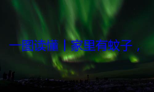 一图读懂丨咬，这样做速战速决不挨家里有蚊子